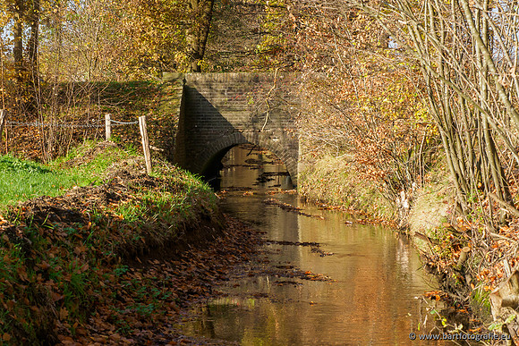 Noordelijke Horsthoekerbeek 221119-139