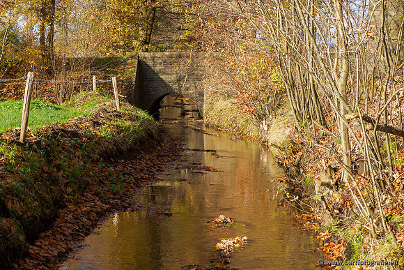 Noordelijke Horsthoekerbeek 221119-140