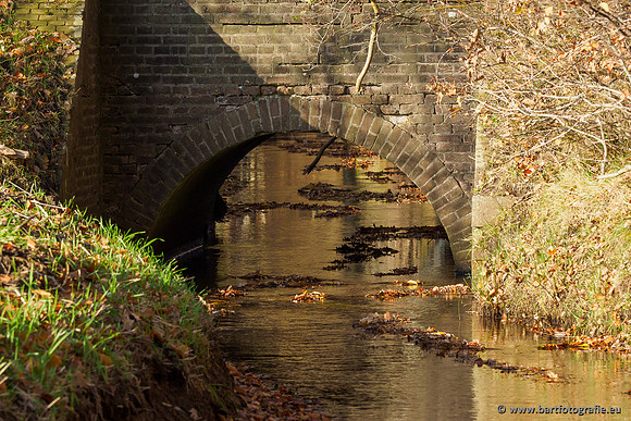 Noordelijke Horsthoekerbeek 221119-141