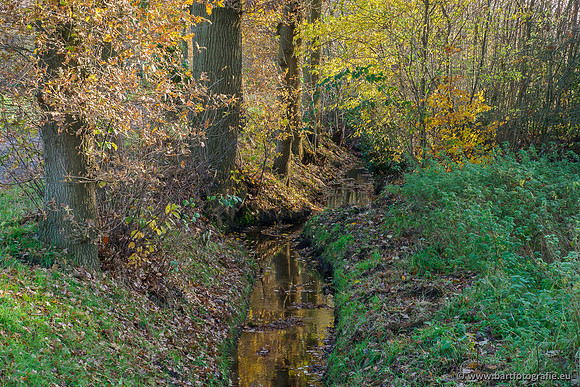 Noordelijke Horsthoekerbeek 221119-145