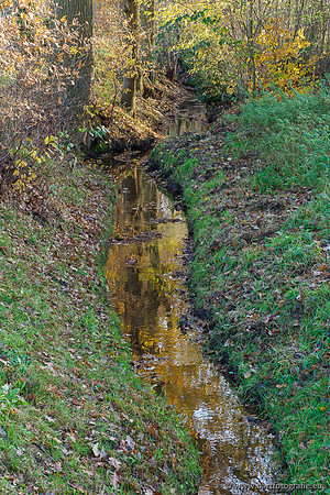 Noordelijke Horsthoekerbeek 221119-146