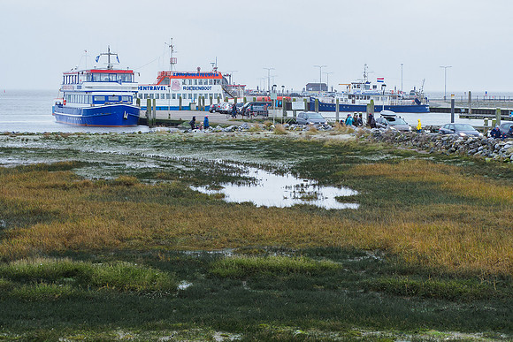 Ameland winter 2019-2020-070