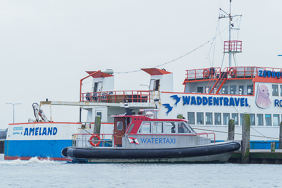 Ameland winter 2019-2020-071