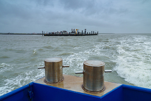 Ameland winter 2019-2020-073