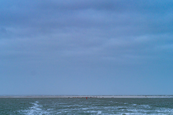 Ameland winter 2019-2020-077