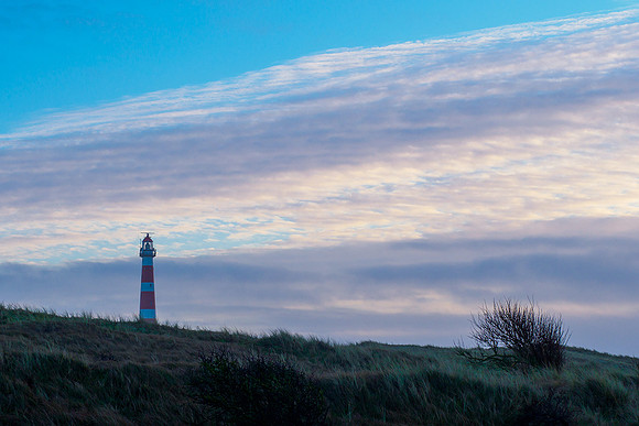 Ameland winter 2019-2020-146