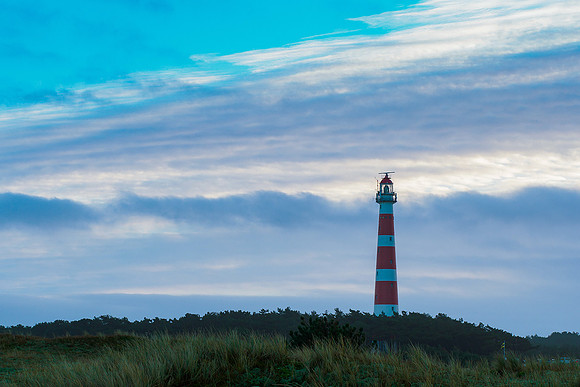 Ameland winter 2019-2020-145