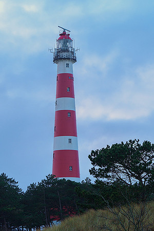 Ameland winter 2019-2020-147