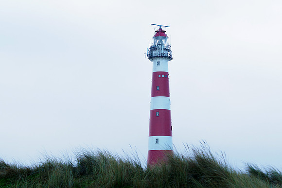 Ameland winter 2019-2020-148