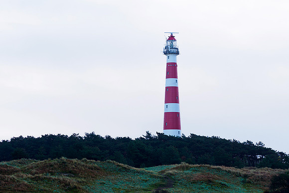 Ameland winter 2019-2020-149