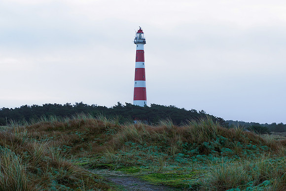 Ameland winter 2019-2020-150