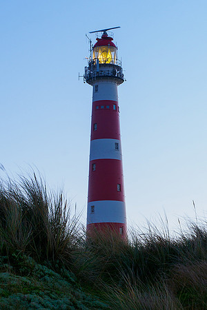 Ameland winter 2019-2020-152