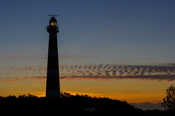 Ameland winter 2019-2020-156