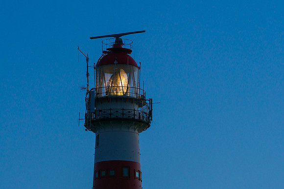 Ameland winter 2019-2020-155