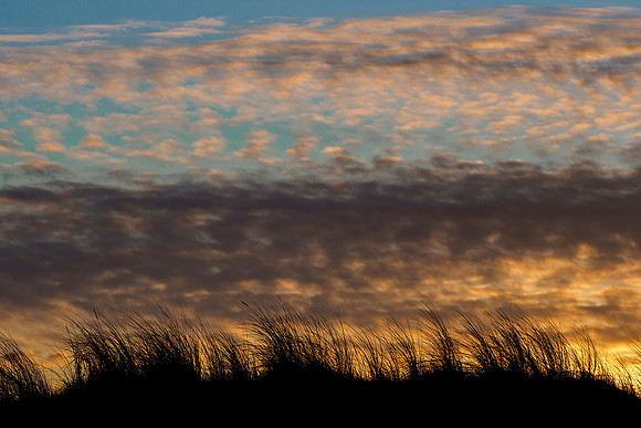 Ameland winter 2019-2020-162