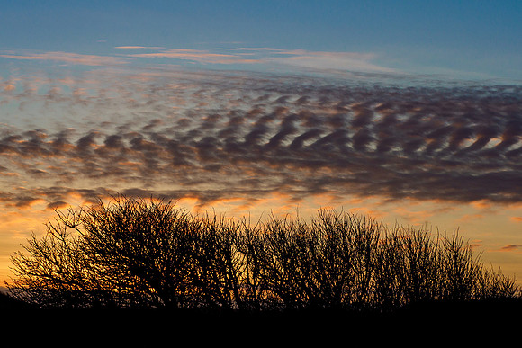 Ameland winter 2019-2020-163