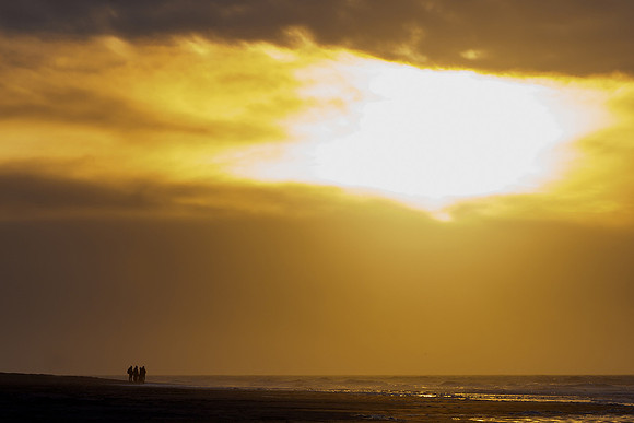 Ameland winter 2019-2020-165