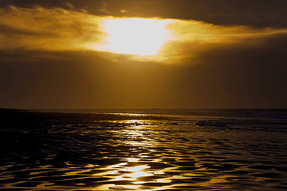 Ameland winter 2019-2020-166