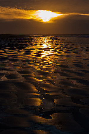 Ameland winter 2019-2020-167
