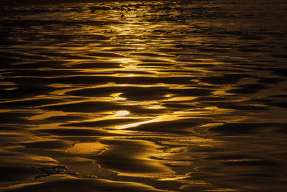 Ameland winter 2019-2020-169
