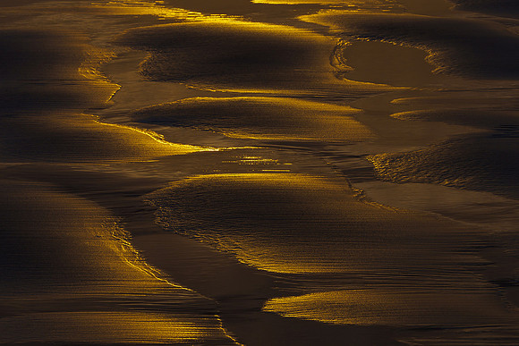 Ameland winter 2019-2020-170