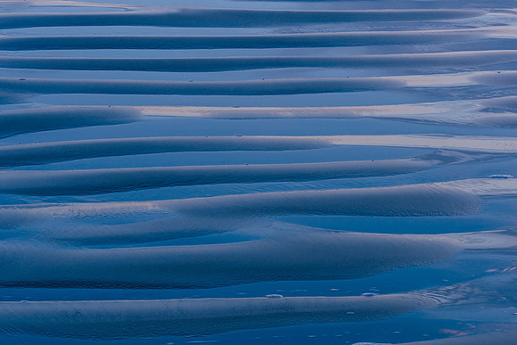 Ameland winter 2019-2020-172