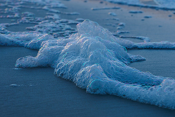 Ameland winter 2019-2020-176