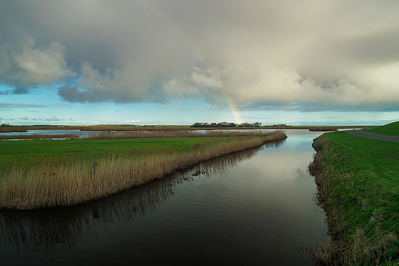 Ameland winter 2019-2020-186