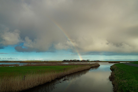 Ameland winter 2019-2020-187