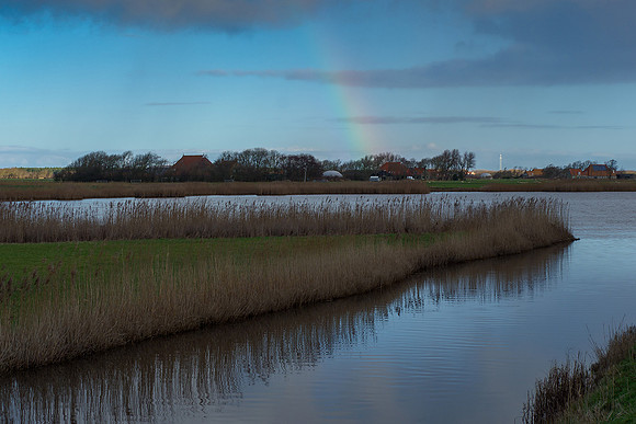 Ameland winter 2019-2020-188