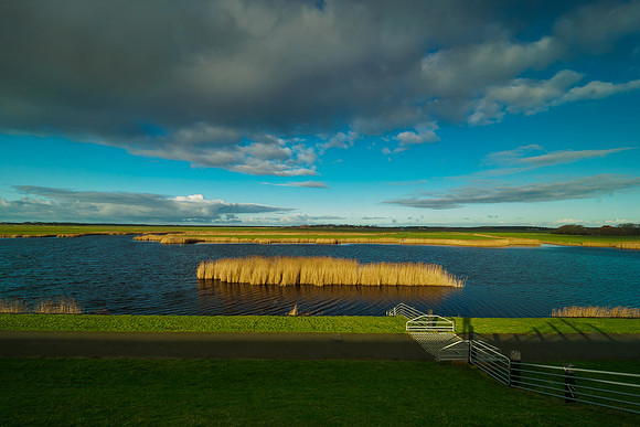 Ameland winter 2019-2020-189