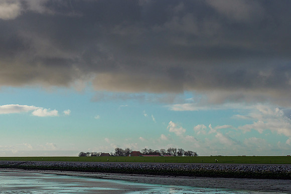 Ameland winter 2019-2020-190