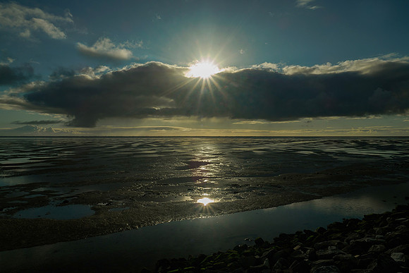 Ameland winter 2019-2020-191