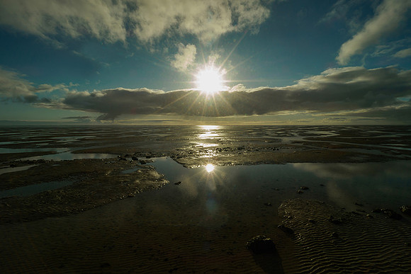 Ameland winter 2019-2020-192