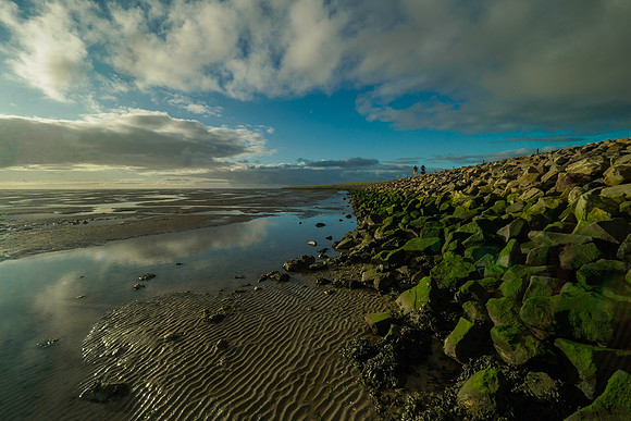 Ameland winter 2019-2020-193