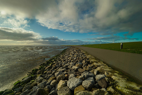 Ameland winter 2019-2020-194