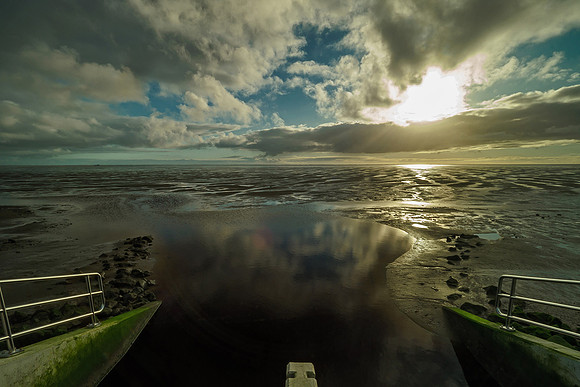 Ameland winter 2019-2020-195