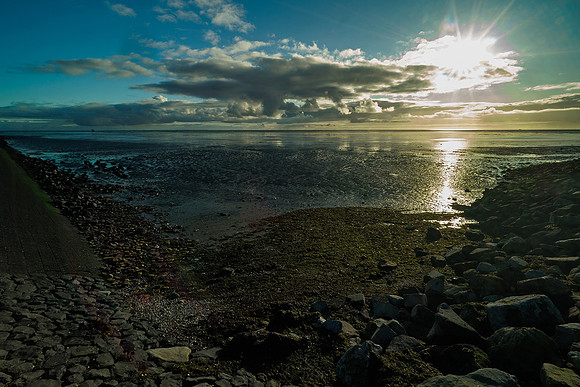 Ameland winter 2019-2020-196