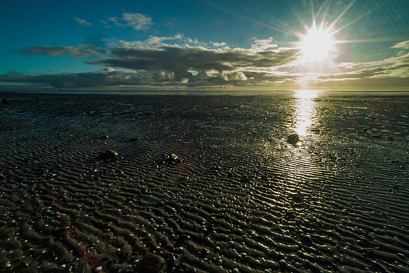 Ameland winter 2019-2020-197