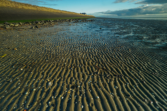 Ameland winter 2019-2020-198