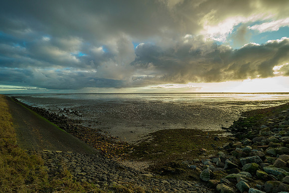 Ameland winter 2019-2020-199