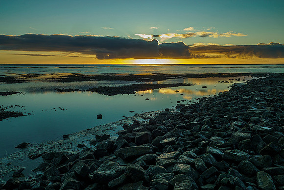 Ameland winter 2019-2020-200