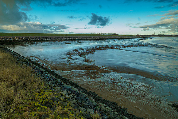 Ameland winter 2019-2020-205
