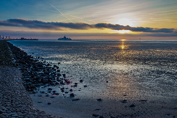 Ameland winter 2019-2020-207