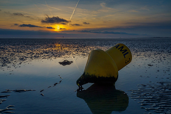 Ameland winter 2019-2020-209
