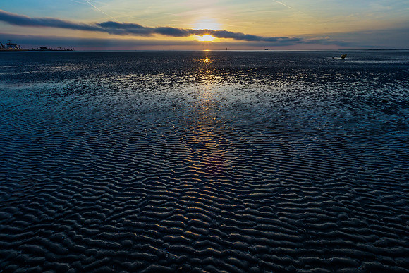 Ameland winter 2019-2020-208