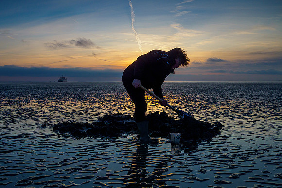 Ameland winter 2019-2020-210