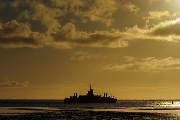 Ameland winter 2019-2020-217