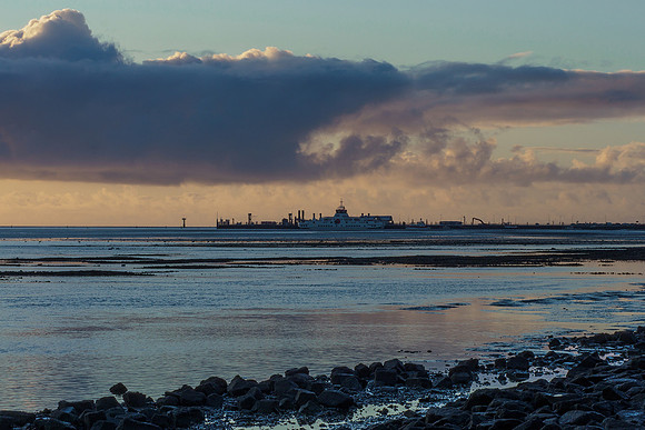 Ameland winter 2019-2020-219