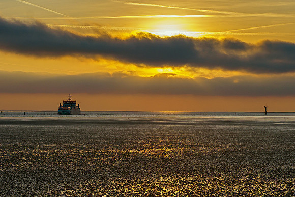 Ameland winter 2019-2020-220
